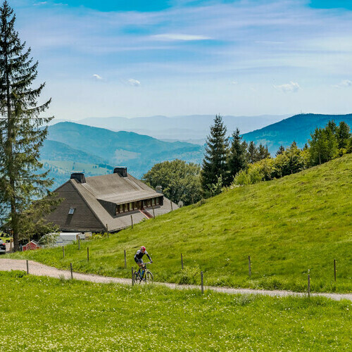 Ein beliebtes Ziel fr Radfahrer ist das Almgasthaus Knpflesbrunnen auf ber 1.000 Metern