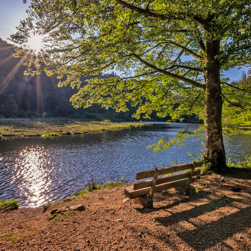 Nonnenmattweiher - 